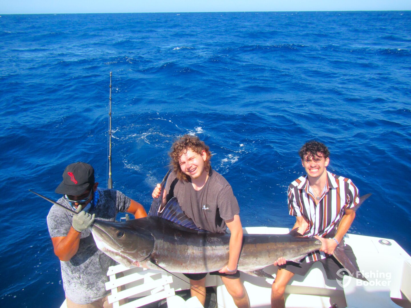 Cabo San Lucas Report Photo 0