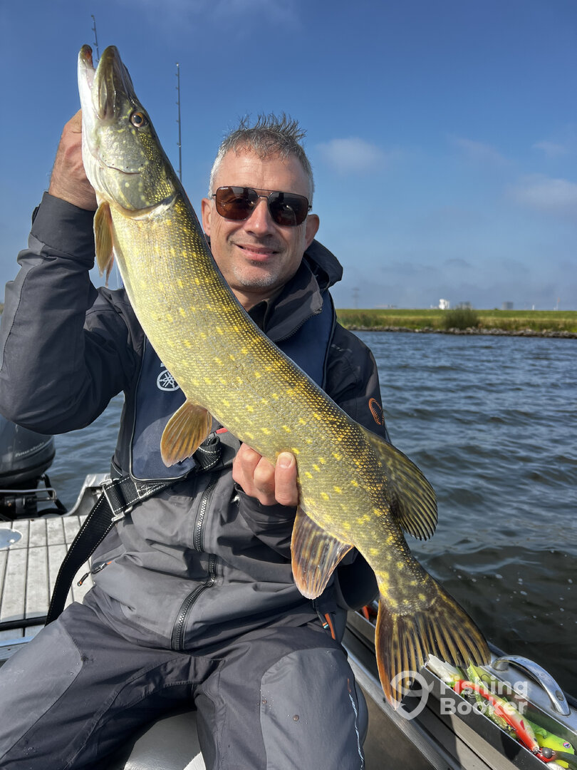 Almere Report Photo 0