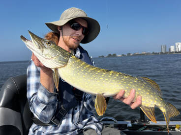 Almere Report Photo 1