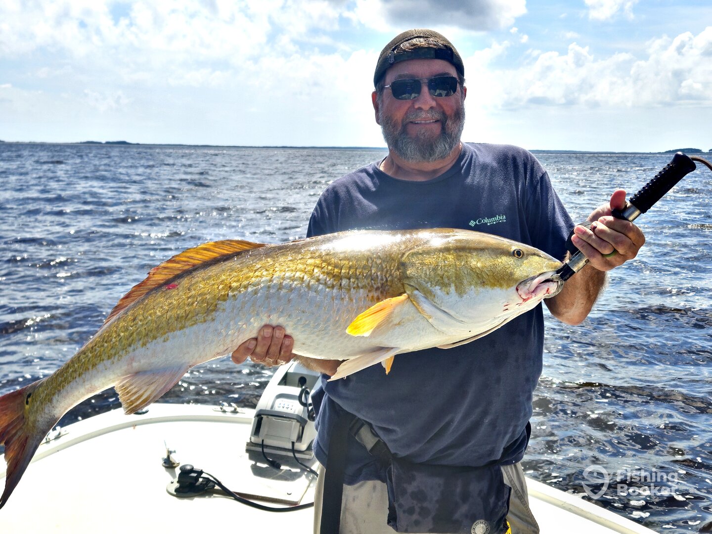 Georgetown Report Photo 0