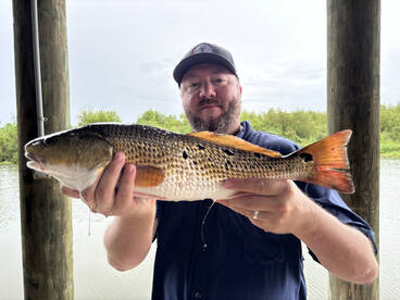 Venice Report Photo 1