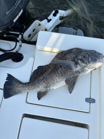 Venice Report Photo 2