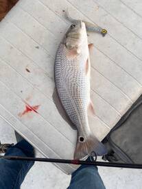 Nanticoke Report Photo 1