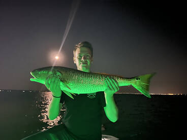 Milton Report Photo 1