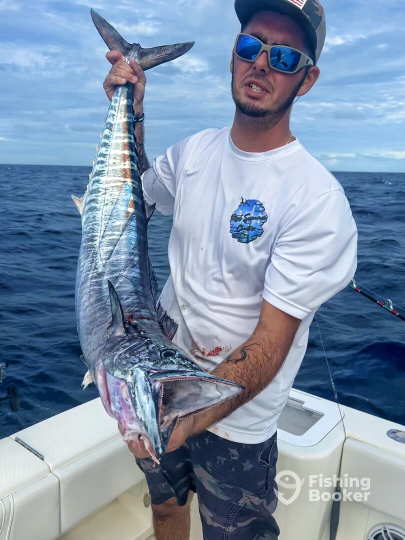 Tavernier Report Photo 0