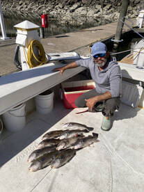 Stamford Report Photo 2