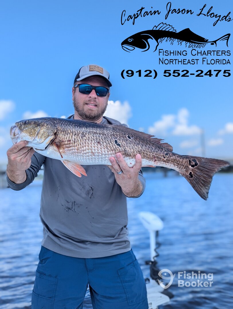 Jacksonville Report Photo 0