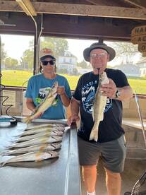 Nice limits of walleyes and saugers.