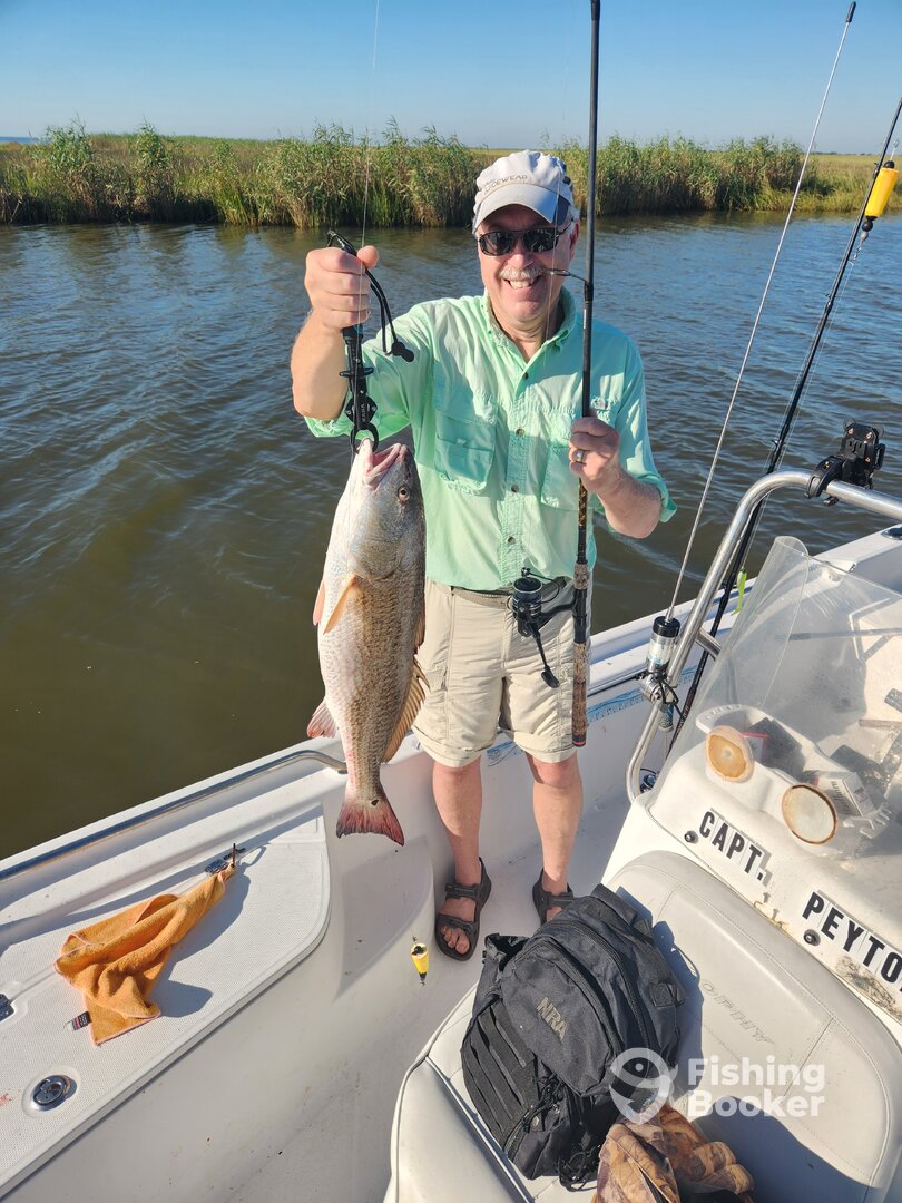 Empire Report Photo 0