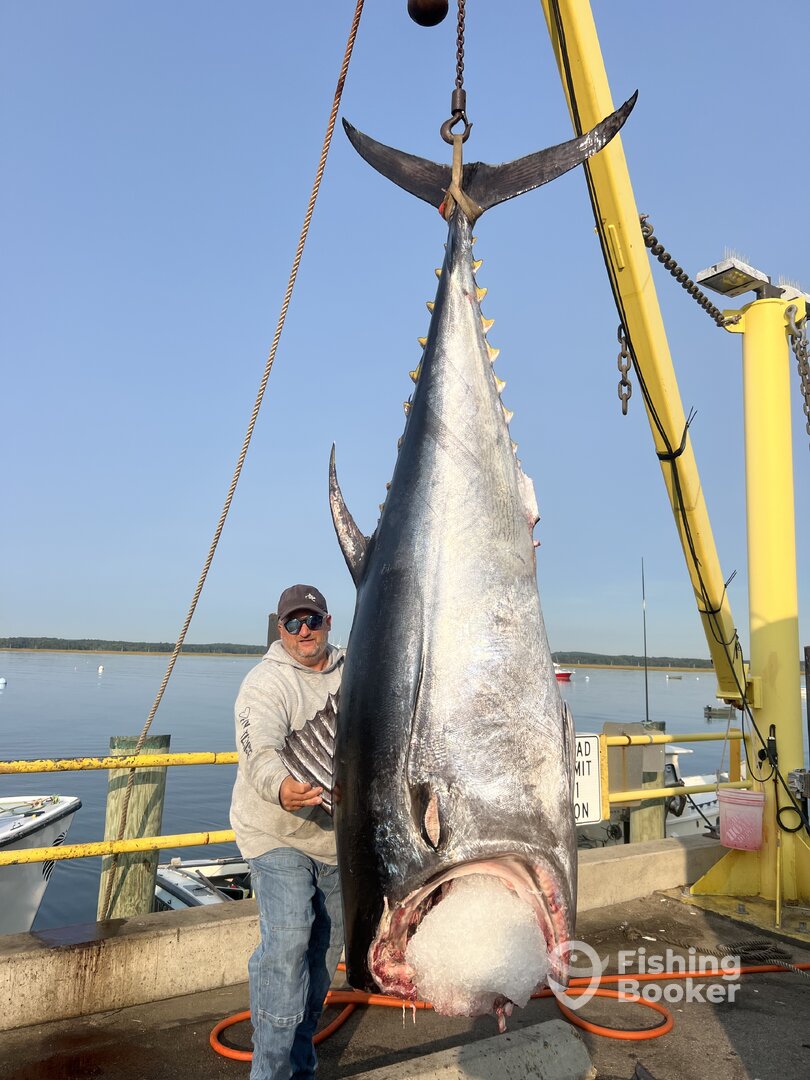 Hampton Beach Report Photo 0