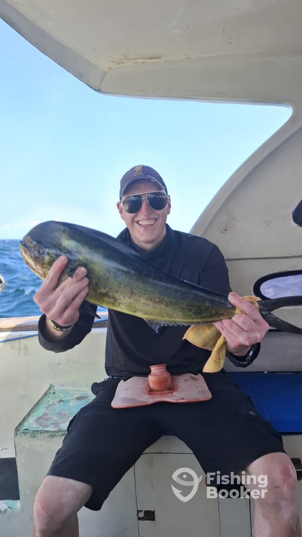 Denpasar Report Photo 0