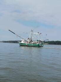 Hilton Head Island Report Photo 1