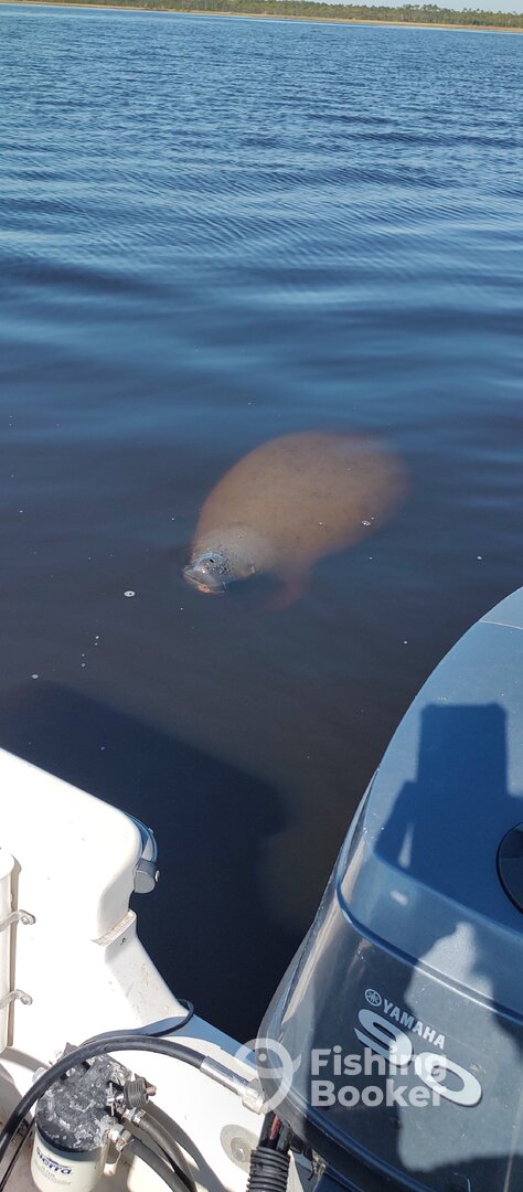 Panama City Beach Report Photo 0