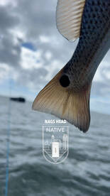 Wanchese Report Photo 1