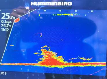 Harrison Report Photo 1