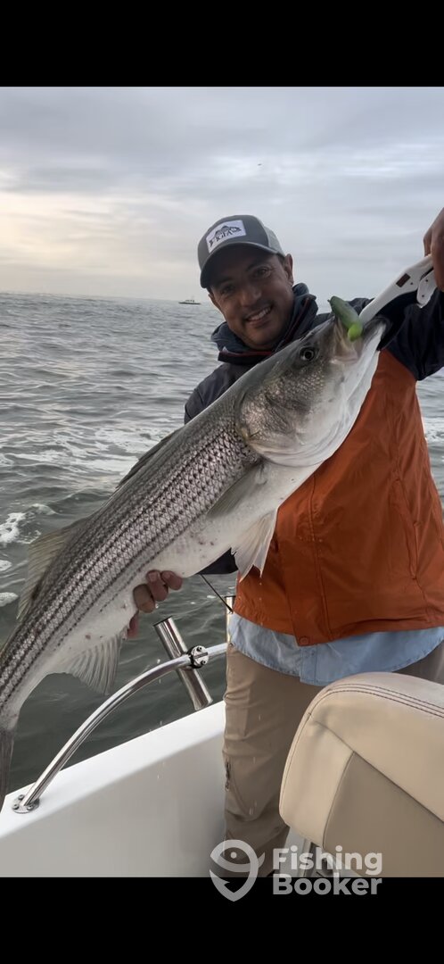 New York City Report Photo 0