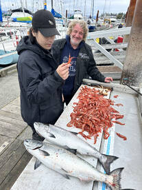 PRAWNS AND CHINOOK SALMON! 