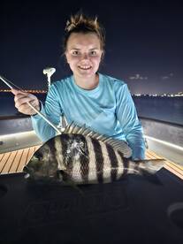 Shallow water Sheepshead action 