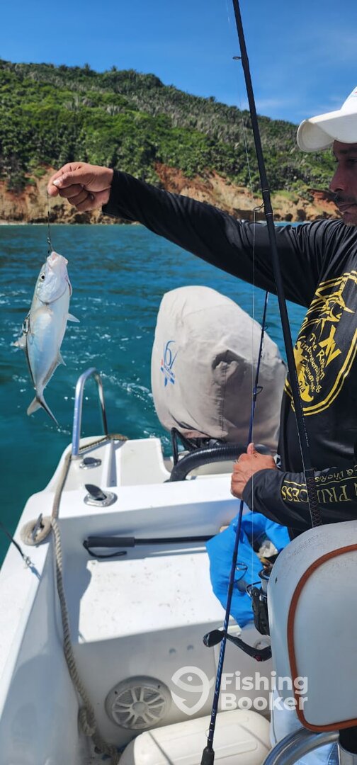 Oakridge Report Photo 0