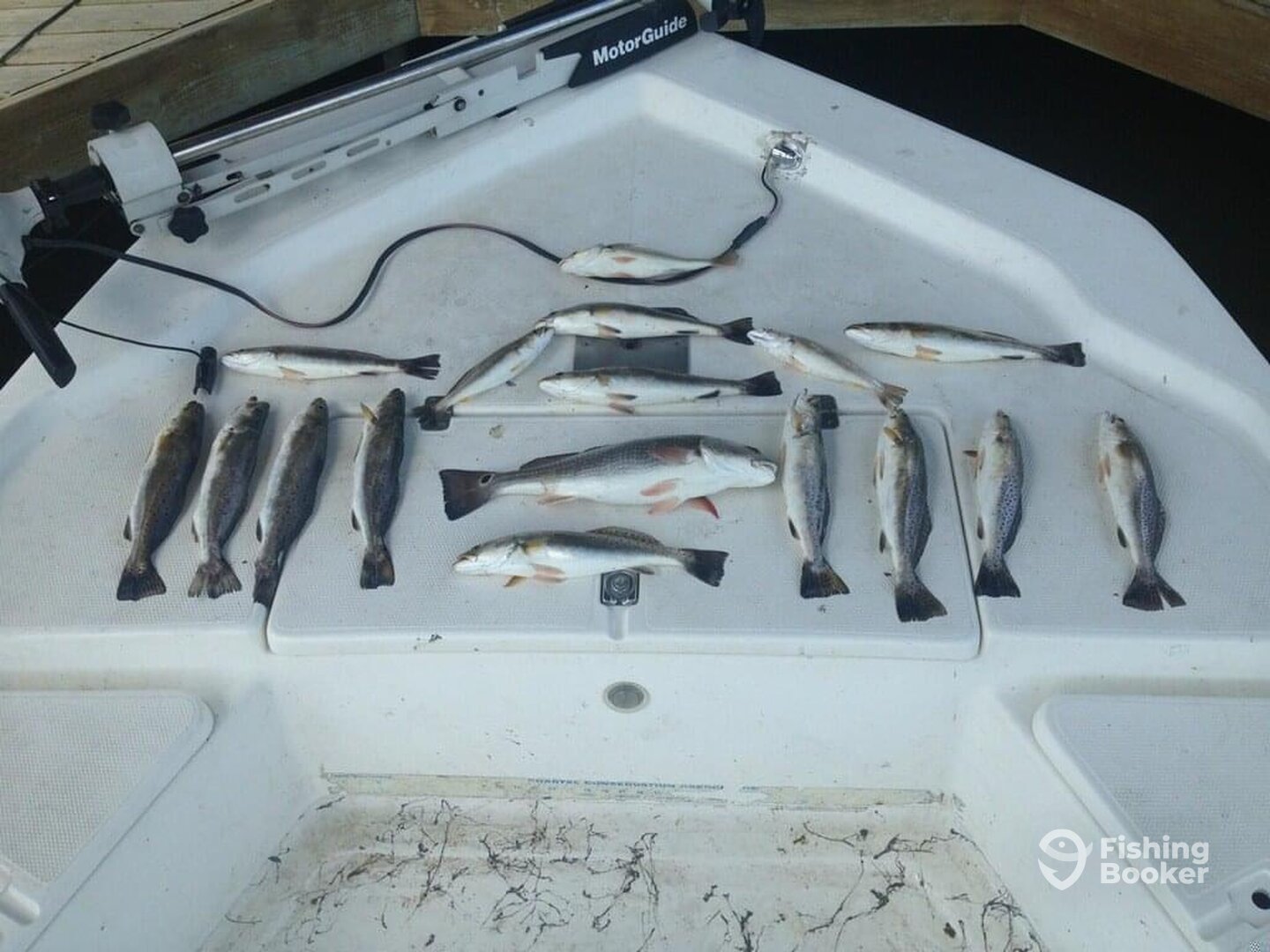 Houston Report Photo 0