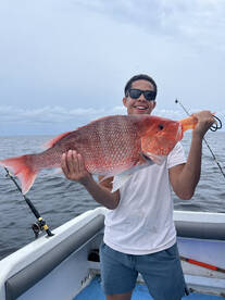 Snapper bite is happening NOW! 