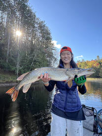 Fall colors are here! 