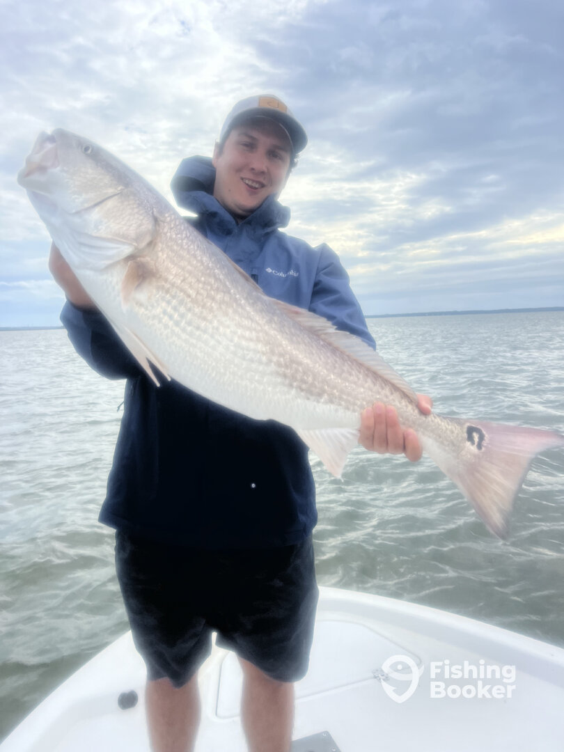 Hilton Head Island Report Photo 0