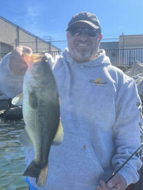 Buffalo Report Photo 2