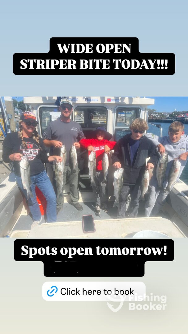 Berkeley Report Photo 0