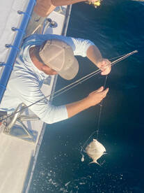 Nags Head Report Photo 1