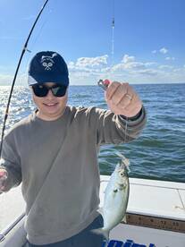 New York City Report Photo 1