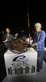 Quick limits of lobster tonight!