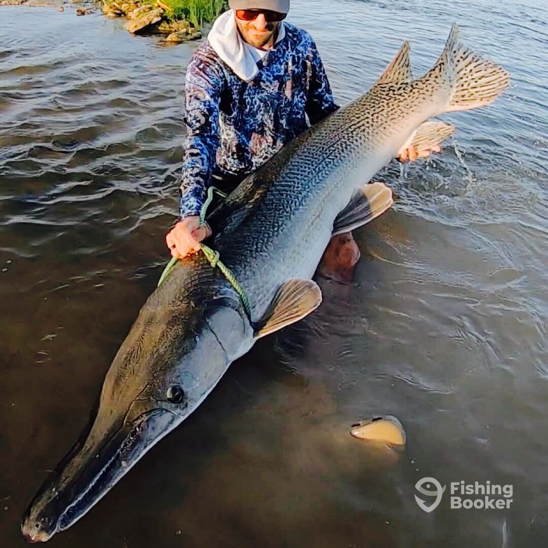 West Livingston Report Photo 0