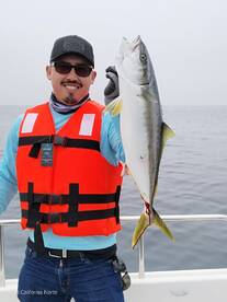 Ensenada Report Photo 2