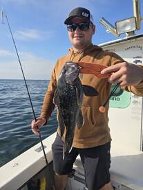 Ocean City Report Photo 1