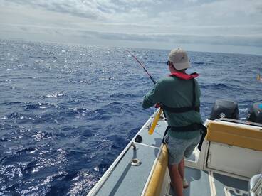 Machico Report Photo 2