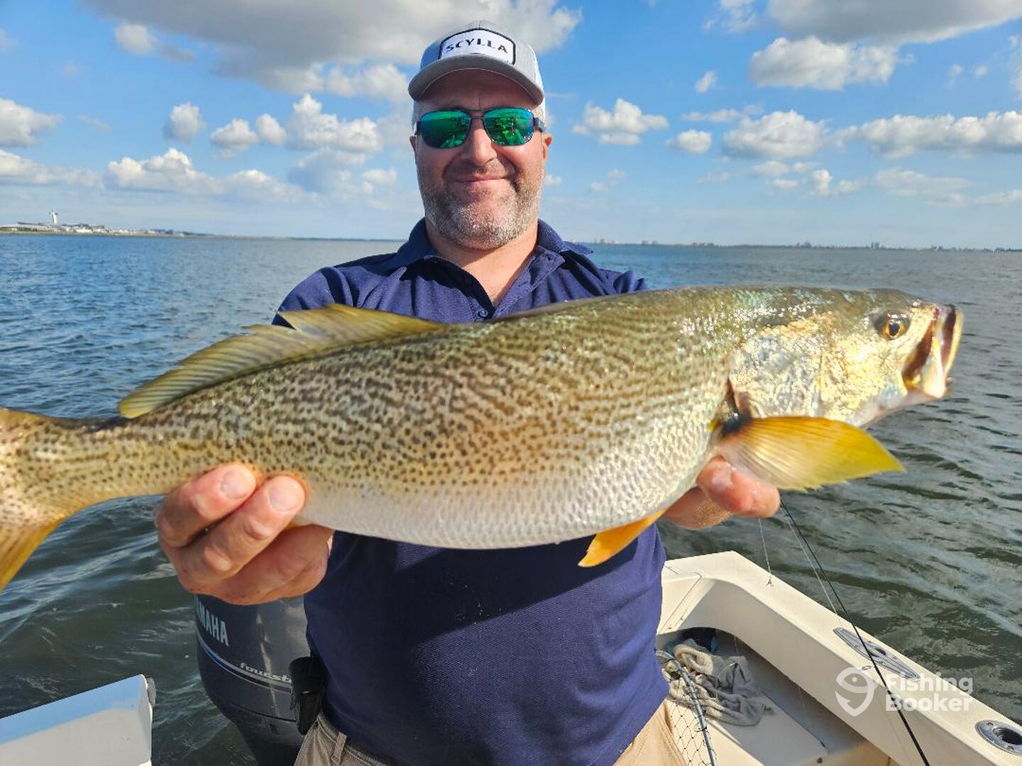 New York City Report Photo 0