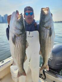 New York City Report Photo 2