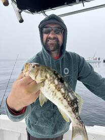 Los Angeles Report Photo 2