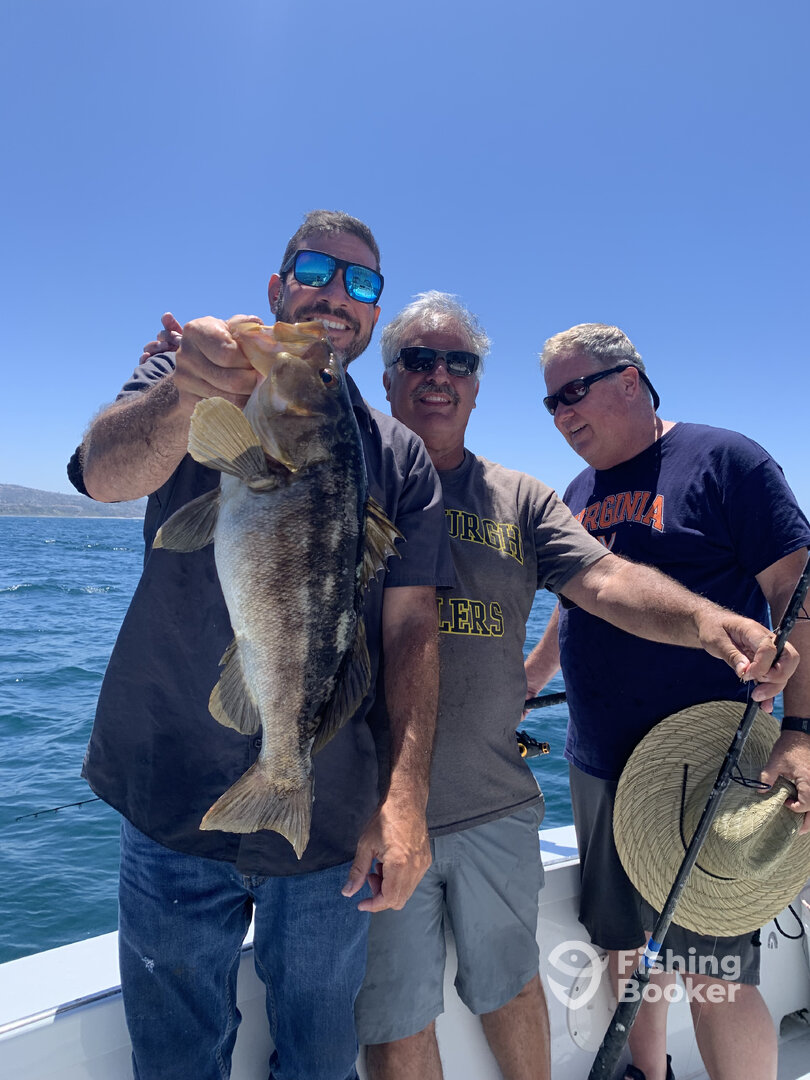 Dana Point Report Photo 0