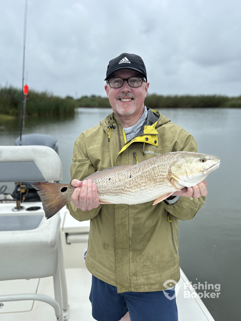 Venice Report Photo 0