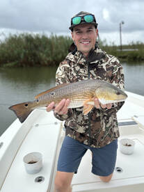 Venice Report Photo 1