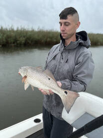 Venice Report Photo 2