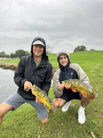 Miami Peacock Bass Fishing during Hurric