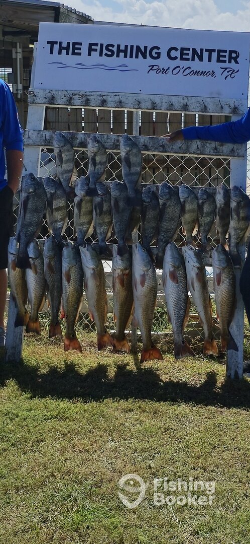 Port O'Connor Report Photo 0