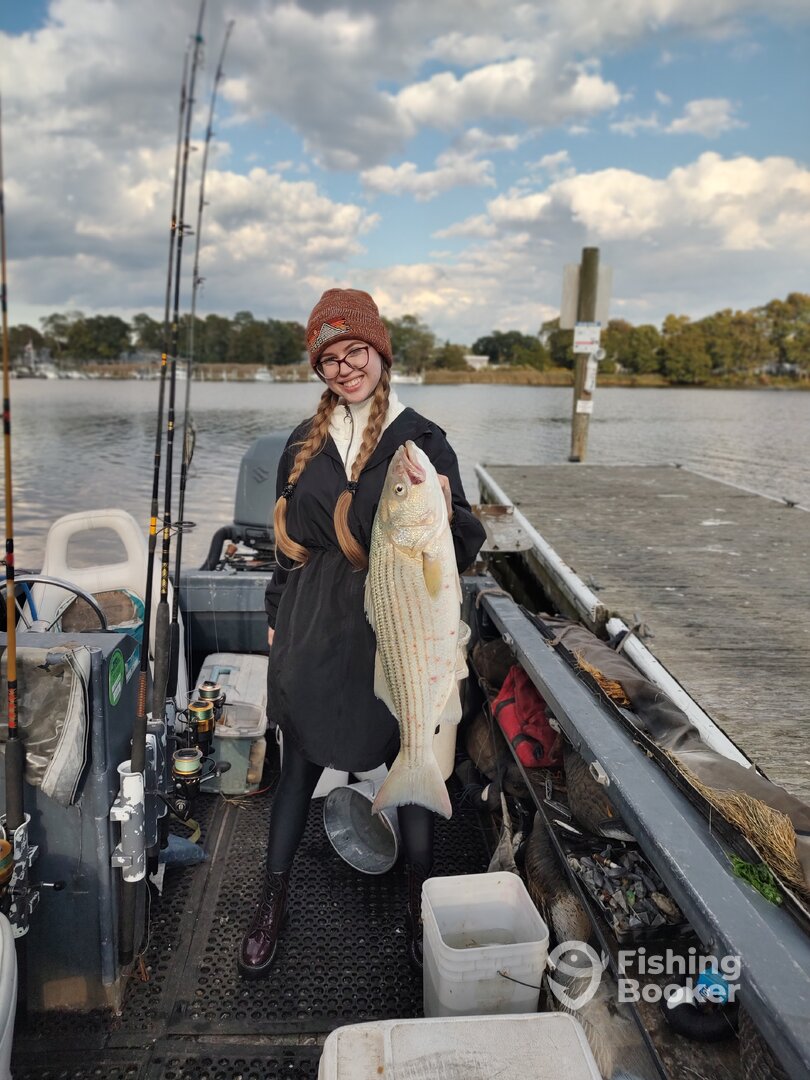 Mastic Report Photo 0