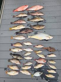 Throw back on some Catch Report