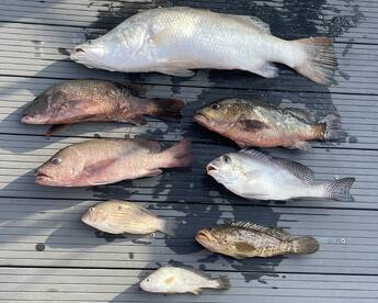 Singapore Report Photo 2