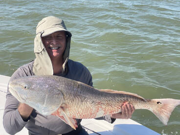 Galveston Report Photo 1