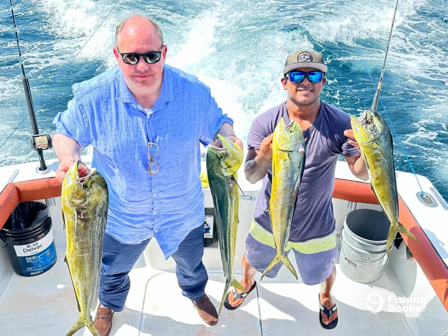 Puerto Vallarta Report Photo 0